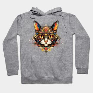 Geometric Cat Funny Abstract Cat Hoodie